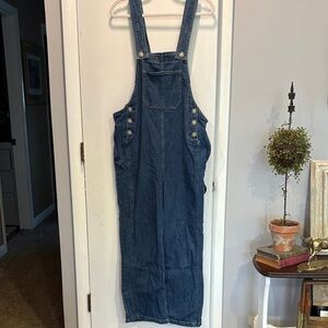 Blue Denim Overalls Dress